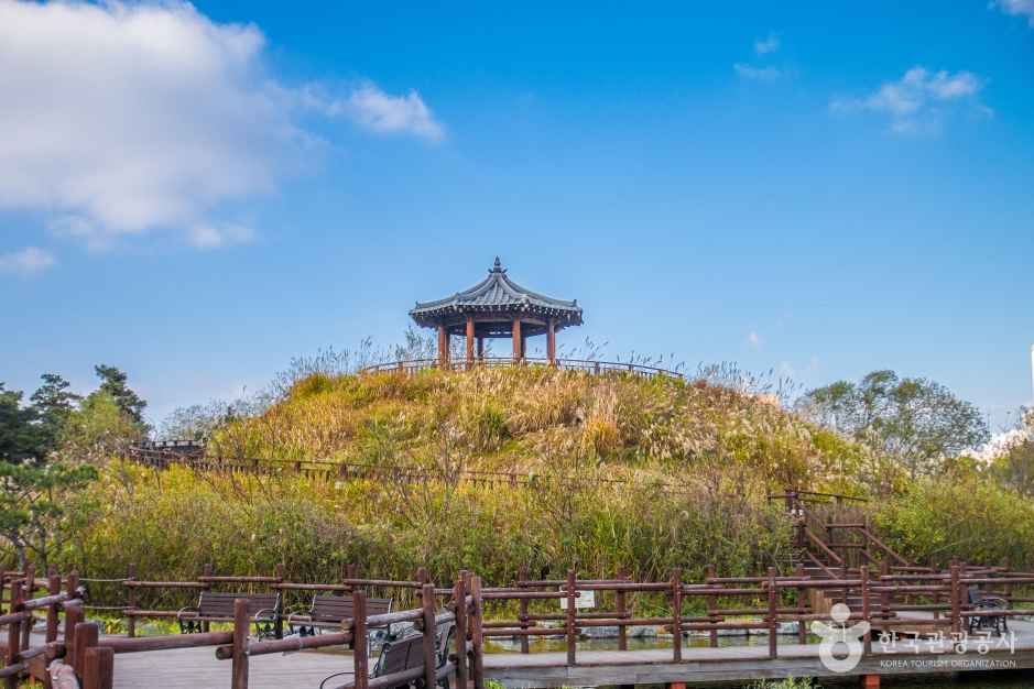 yeskids 1773001183 616 예스키즈존 탐험대 : 실패 없는 육아여행