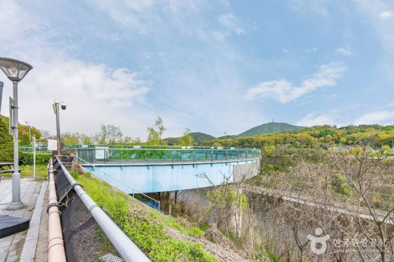 [예스키즈존] 아라마루 전망대