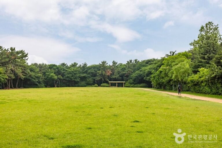 [예스키즈존] 대학공원