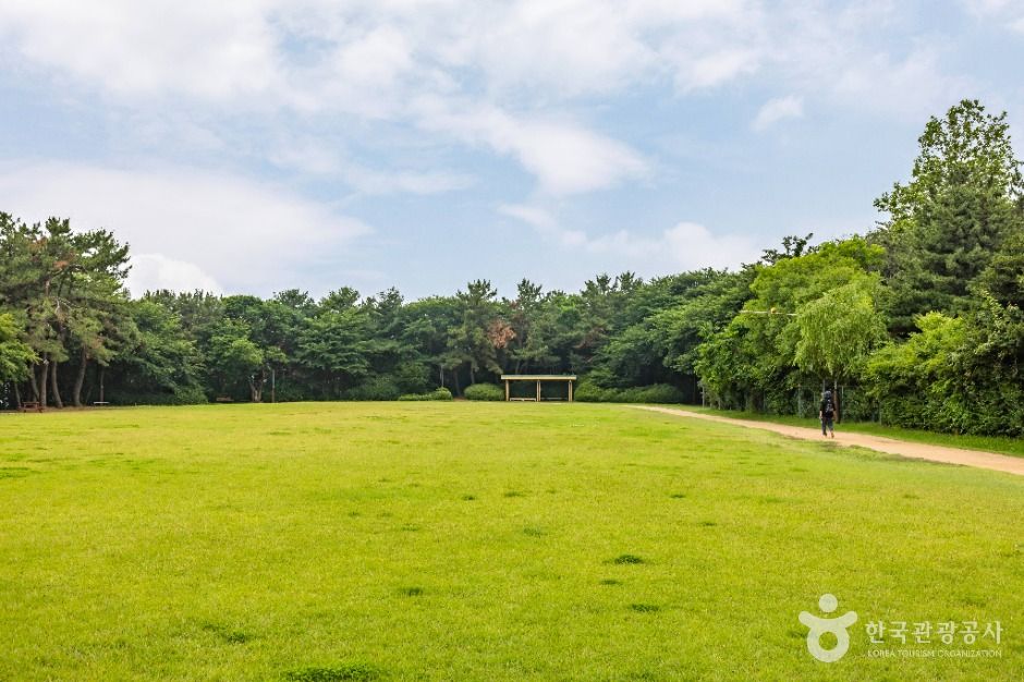 yeskids 1773001392 639 예스키즈존 탐험대 : 실패 없는 육아여행