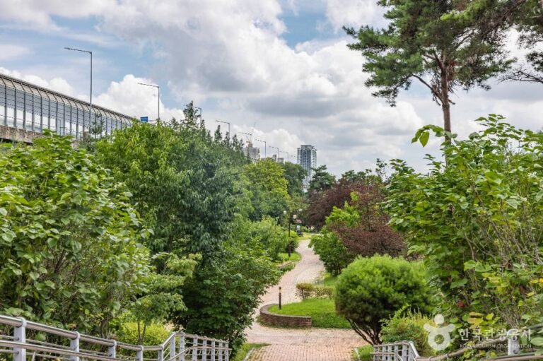 [예스키즈존] 삼산건강공원