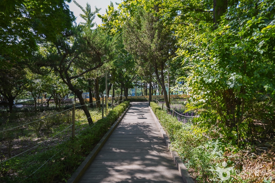 yeskids 1773001618 303 예스키즈존 탐험대 : 실패 없는 육아여행