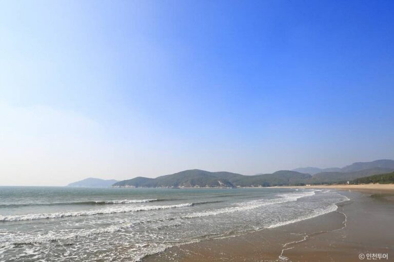 [예스키즈존] 서포리해변