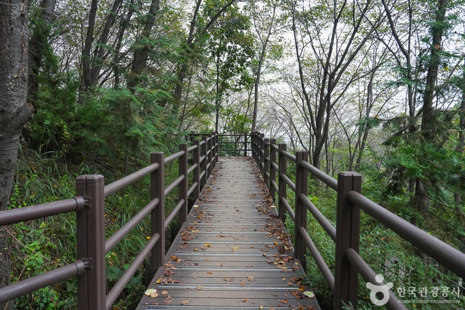 yeskids 1773001805 742 예스키즈존 탐험대 : 실패 없는 육아여행