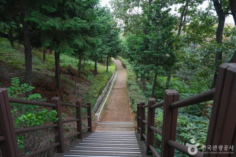 [예스키즈존] 계양산 산림욕장