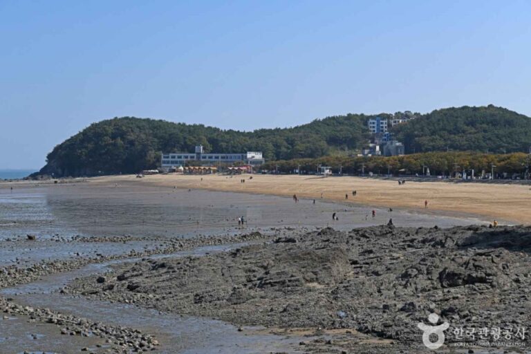 [예스키즈존] 영흥도 십리포해변