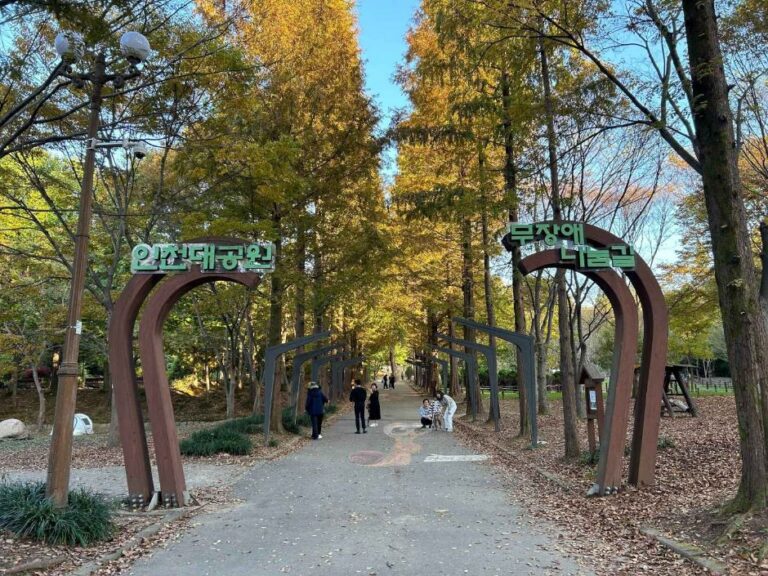 [예스키즈존] 인천대공원 치유숲길