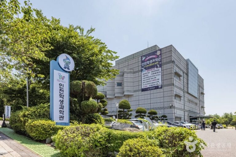 [예스키즈존] 인천학생과학관