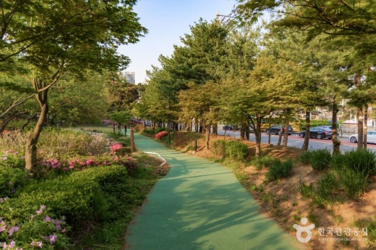 [예스키즈존] 일자산근린공원