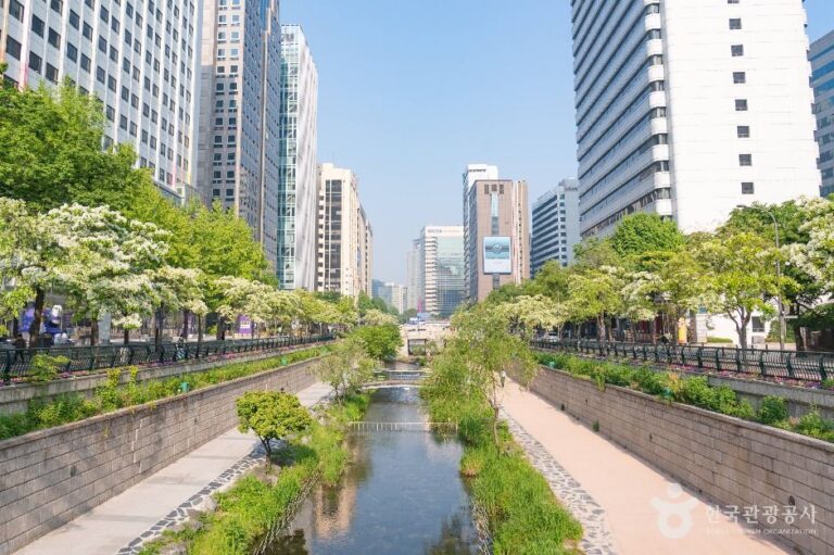 [예스키즈존] 종로 청계 관광특구