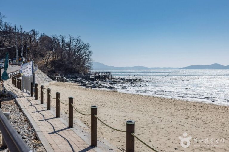 [예스키즈존] 강화 동막해변