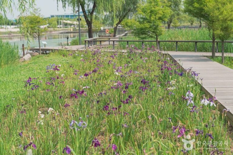 [예스키즈존] 서울식물원 호수공원