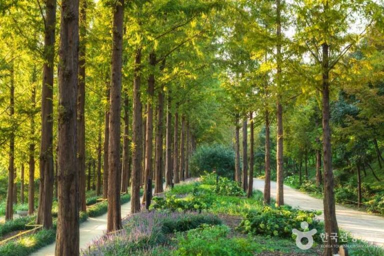 [예스키즈존] 월드컵공원