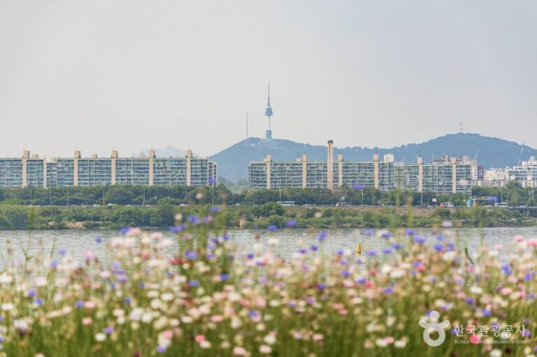 [예스키즈존] 반포 서래섬