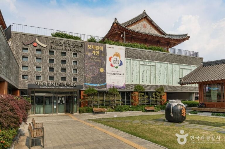 [예스키즈존] 서울약령시한의약박물관