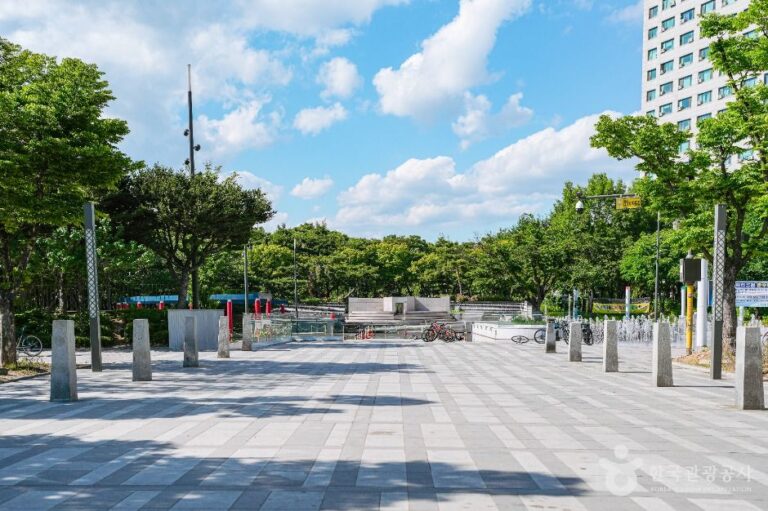 [예스키즈존] 파리공원