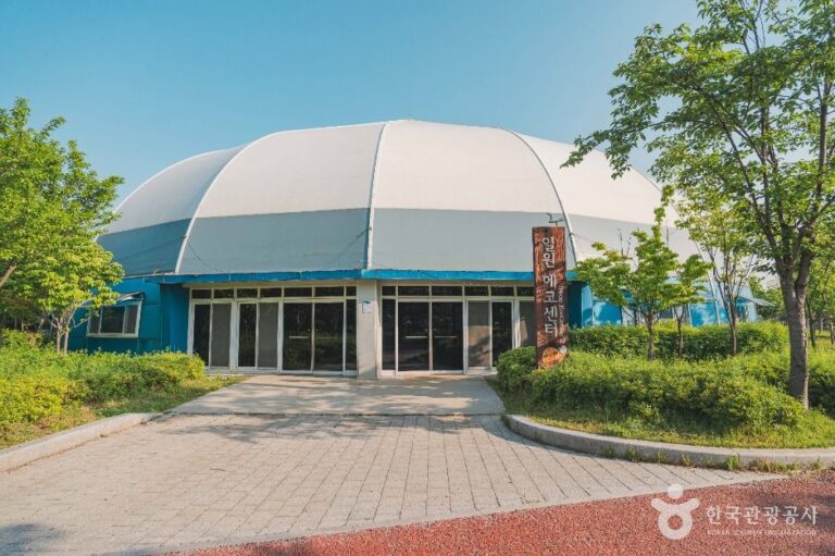 [예스키즈존] 일원에코파크