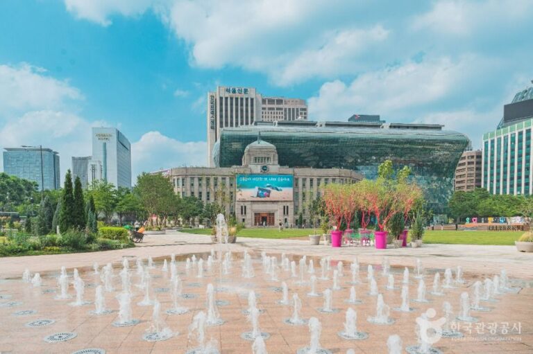 [예스키즈존] 서울광장