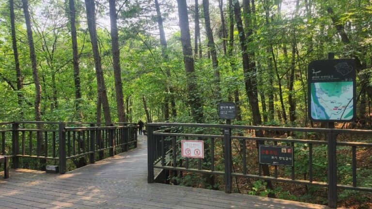 [예스키즈존] 관악산 무장애숲길