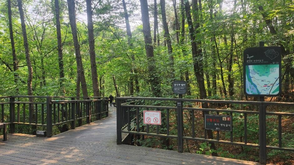 yeskids 1773260608 615 예스키즈존 탐험대 : 실패 없는 육아여행