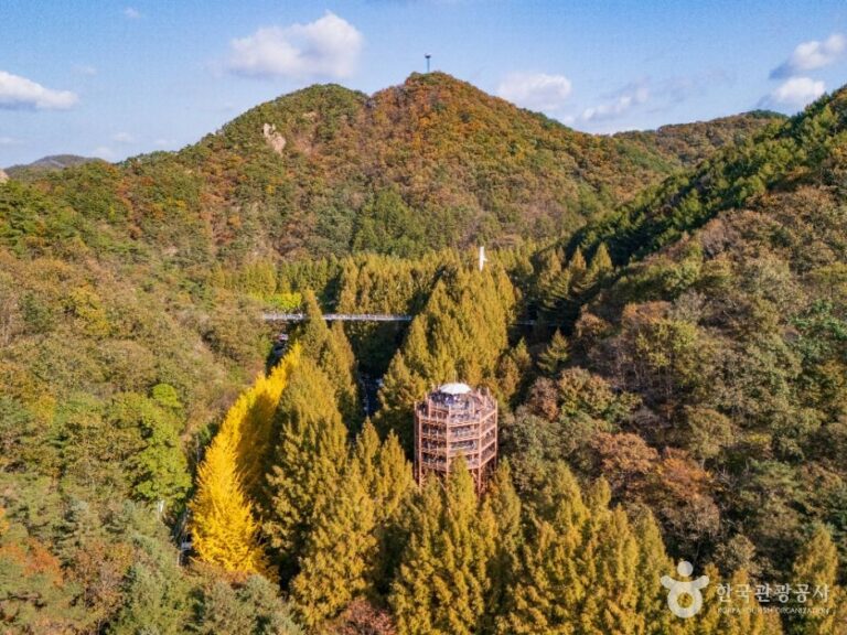 [예스키즈존] 장태산자연휴양림