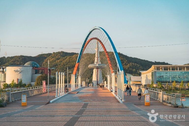 [예스키즈존] 엑스포다리