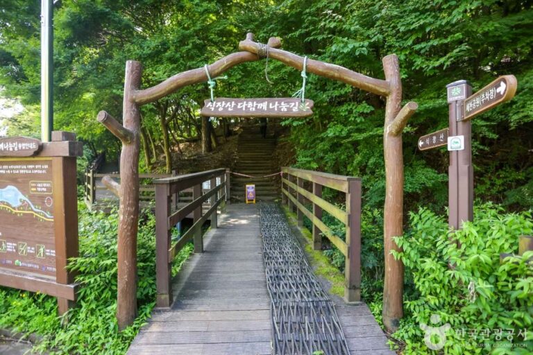 [예스키즈존] 세천유원지