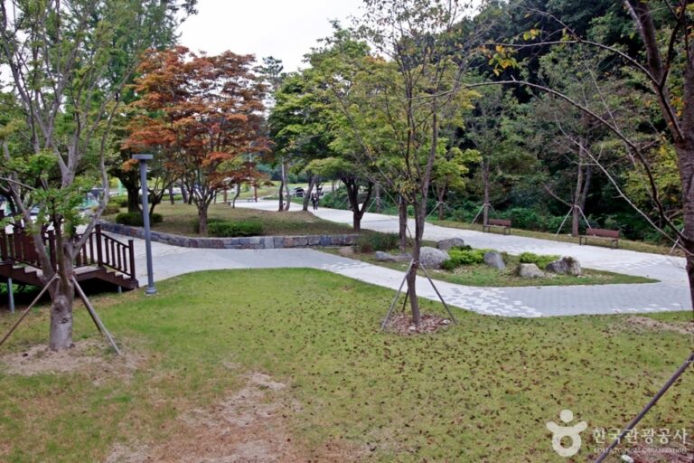 [예스키즈존] 세천공원