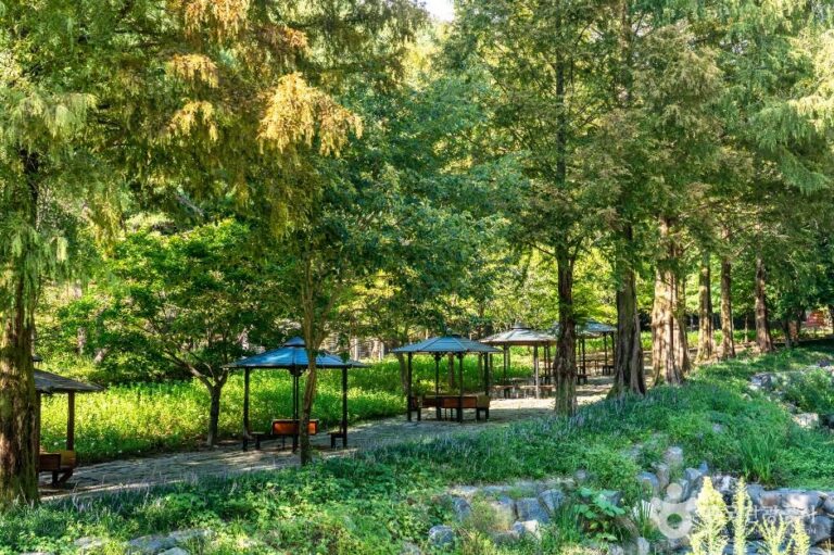 [예스키즈존] 사정공원