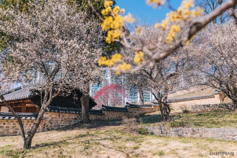 [예스키즈존] 대전 회덕 동춘당