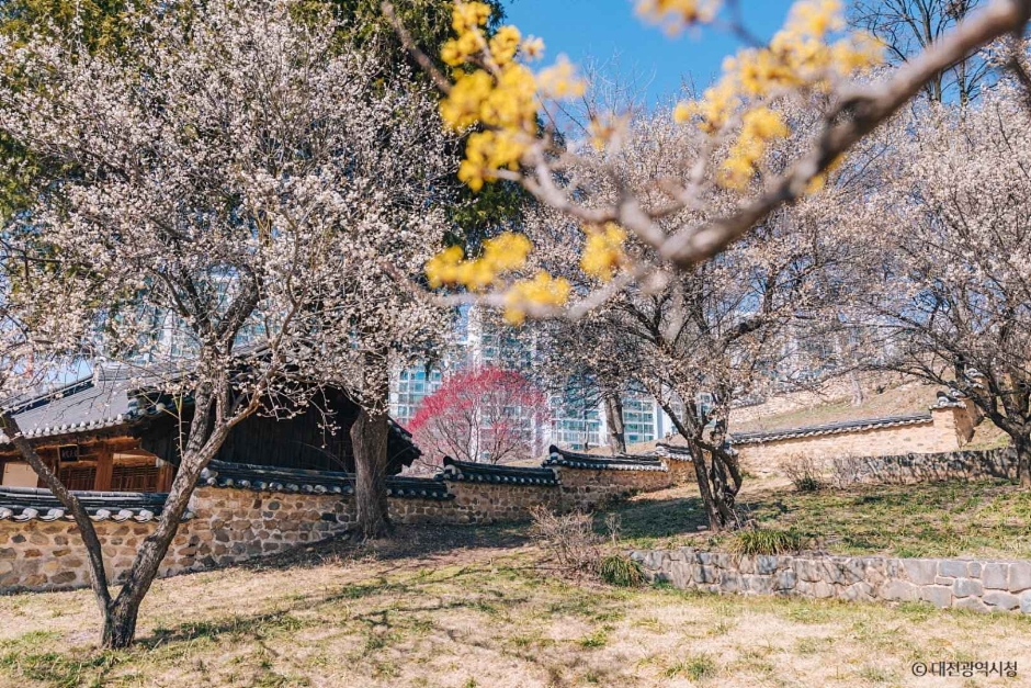 yeskids 1773261348 618 예스키즈존 탐험대 : 실패 없는 육아여행