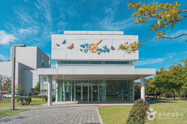 [예스키즈존] 대전곤충생태관