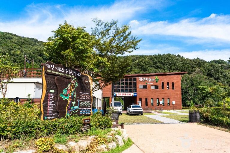 [예스키즈존] 대전 치유의 숲