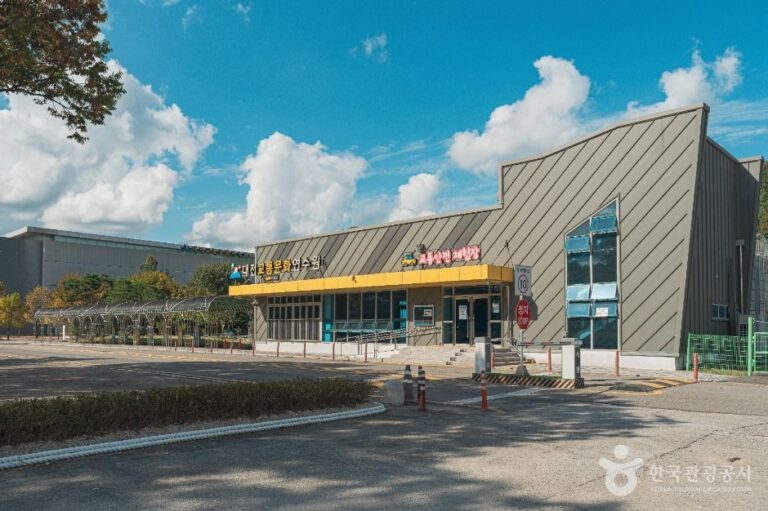 [예스키즈존] 대전교통문화연수원