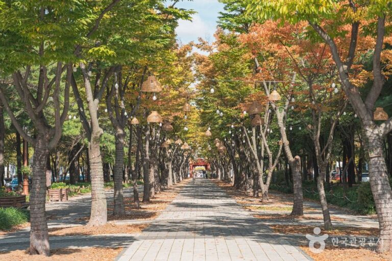 [예스키즈존] 보라매공원(대전)