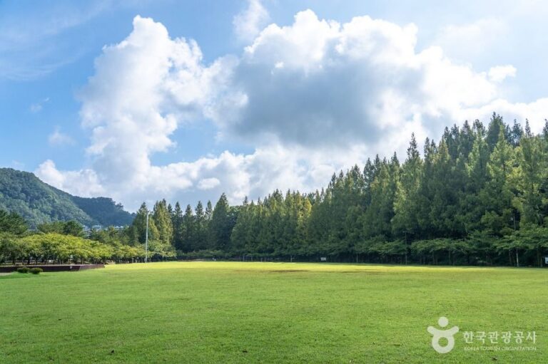 [예스키즈존] 금강로하스대청공원