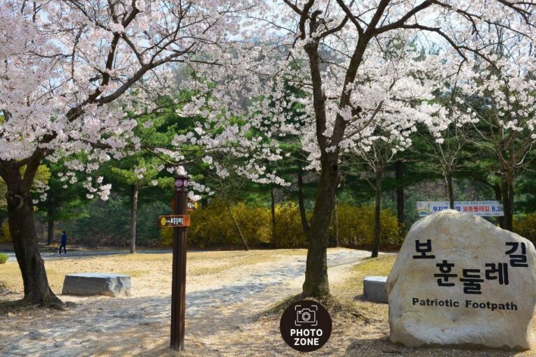 [예스키즈존] 국립대전현충원 보훈둘레길