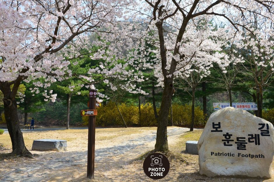 yeskids 1773261623 920 예스키즈존 탐험대 : 실패 없는 육아여행