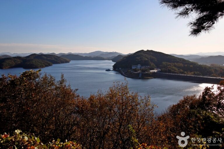 [예스키즈존] 대청댐