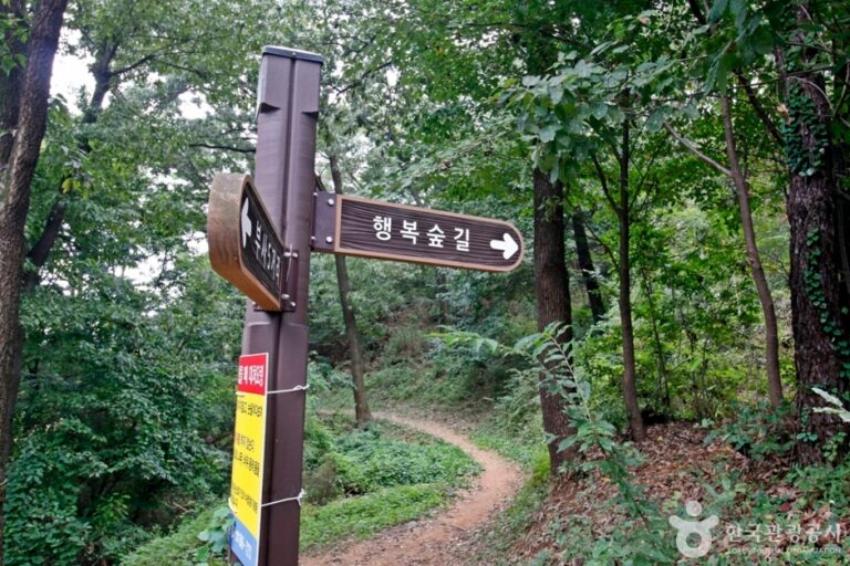 [예스키즈존] 보문산 행복 숲 둘레길