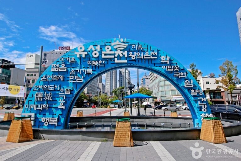 [예스키즈존] 유성 관광특구