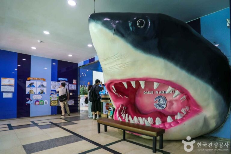 [예스키즈존] 대전아쿠아리움