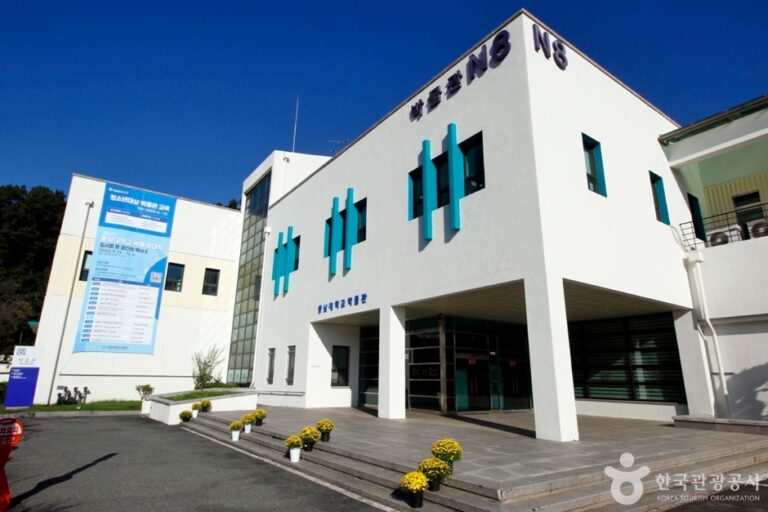 [예스키즈존] 충남대학교박물관