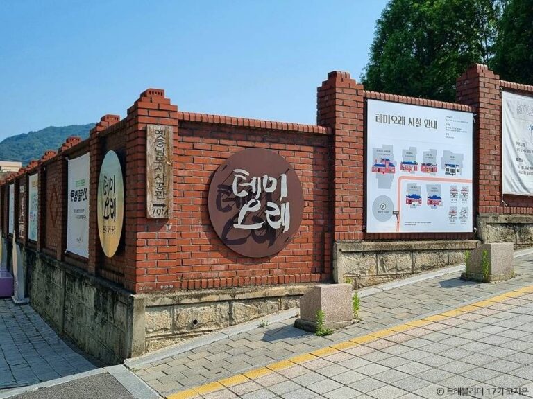 [예스키즈존] 테미오래