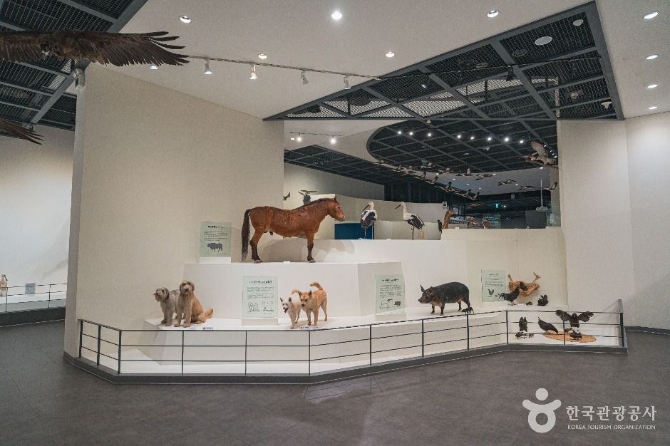 yeskids 1773262152 742 예스키즈존 탐험대 : 실패 없는 육아여행