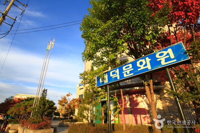 [예스키즈존] 대덕문화원