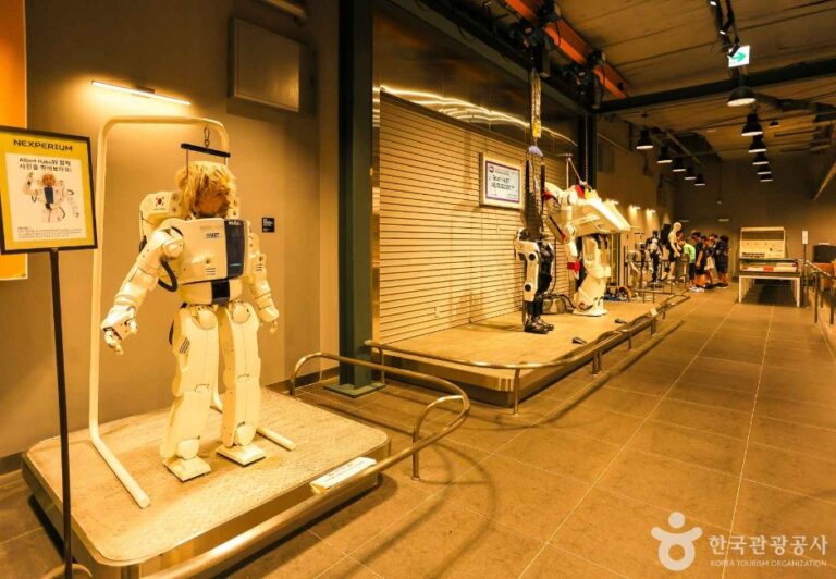 [예스키즈존] 넥스페리움