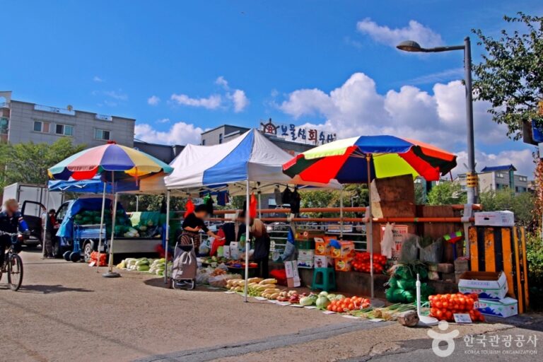 [예스키즈존] 유성장(4, 9일)