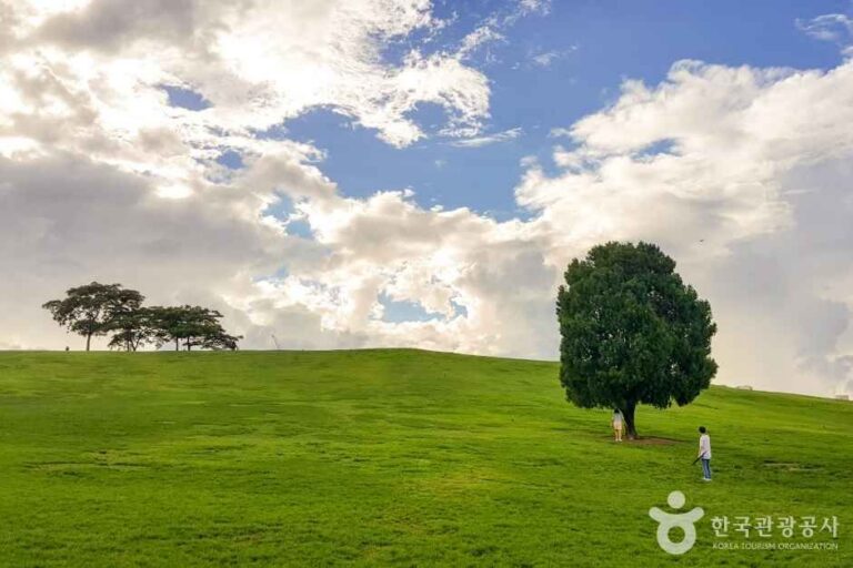 [예스키즈존] 올림픽공원
