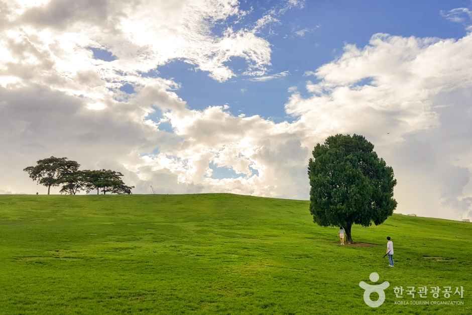 yeskids 1773346231 765 예스키즈존 탐험대 : 실패 없는 육아여행